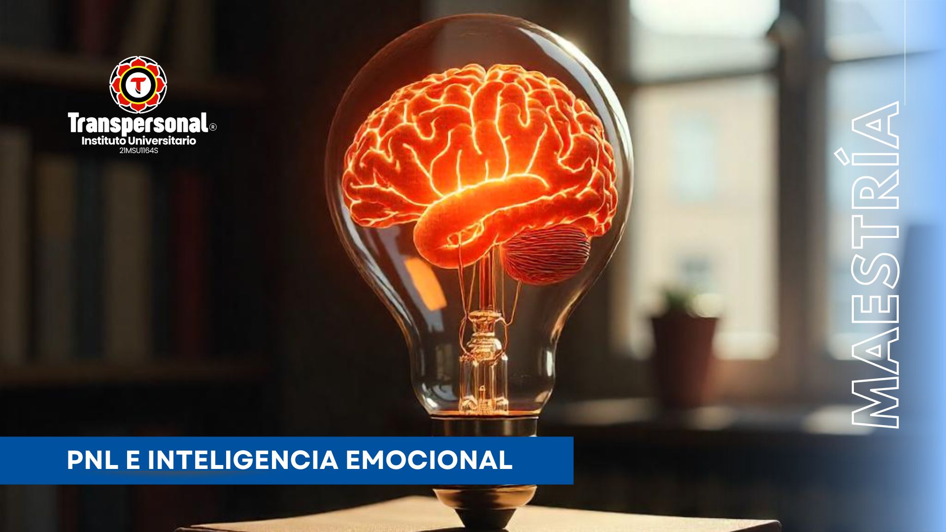 Imagen 5